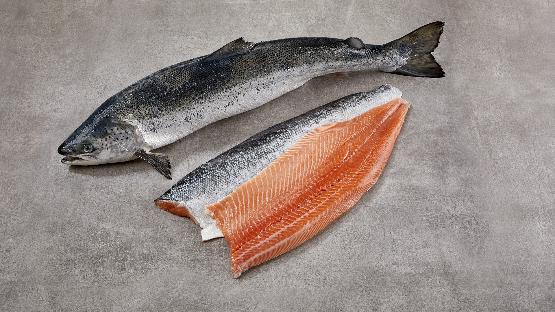 Zalm van de maand januari